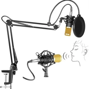 Intempo Studio Microfoon – Met standaard – Verstelbaar Zwart