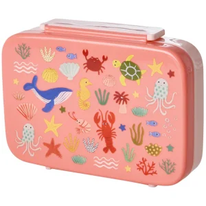 rice bento broodtrommel - coral ocean