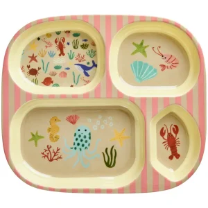 rice vakjesbord - coral ocean