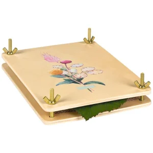 moses. blad- en bloemenpers