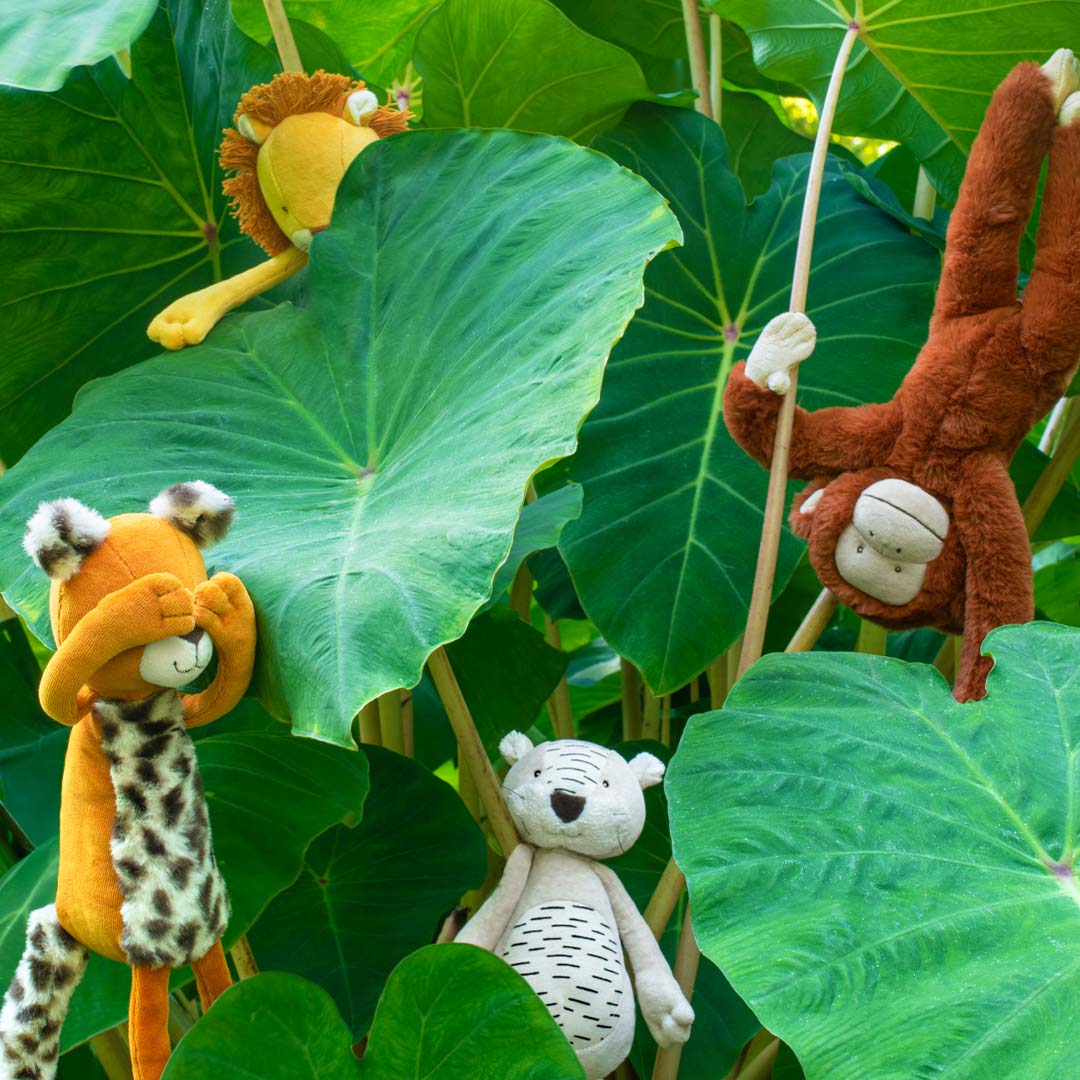 moulin roty activiteitenhanger la forêt mawa - aap mochica - Afbeelding 4